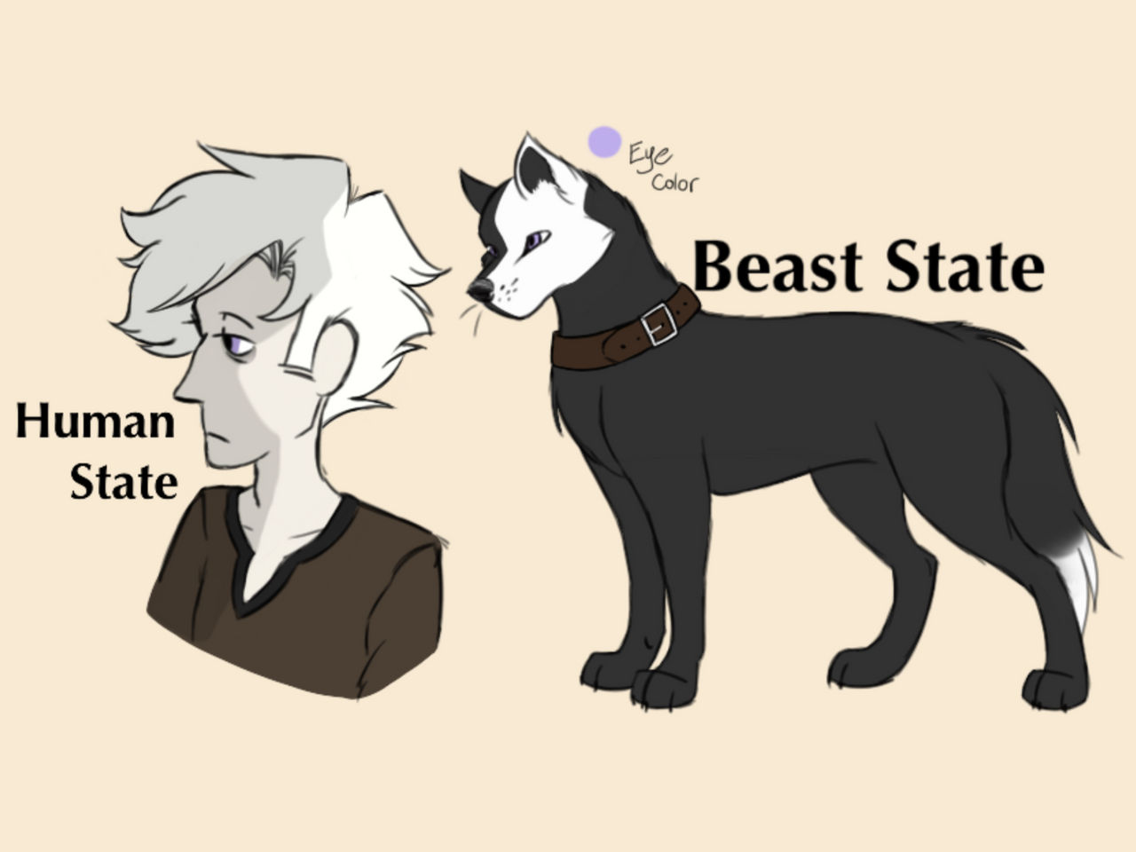 Jet Reference by Kohl-Ait-SC on DeviantArt