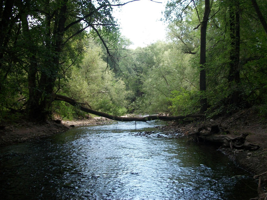 Logan River