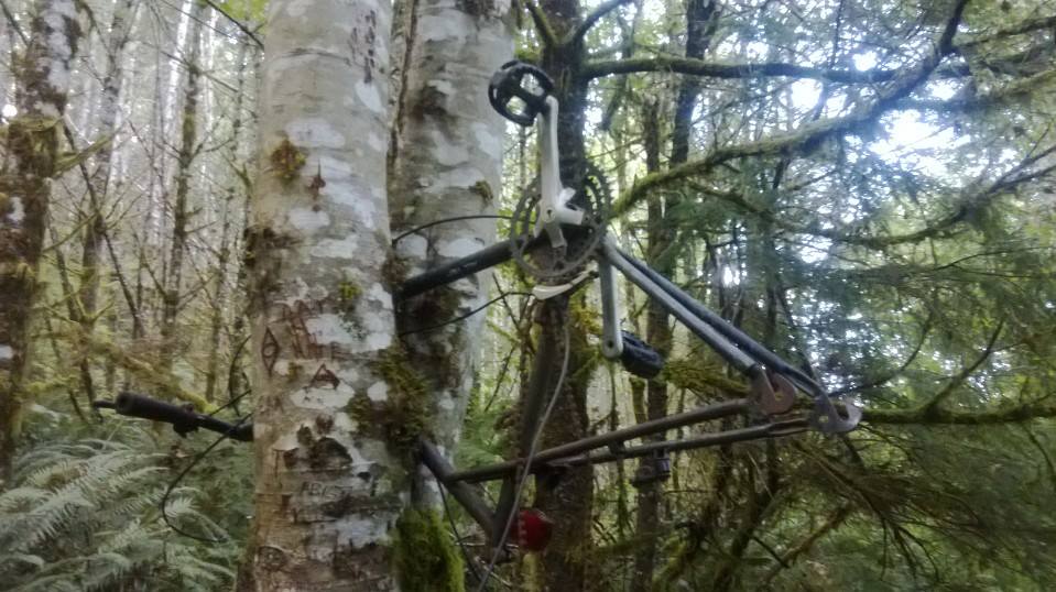 Bike tree