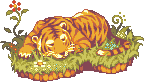 a Tiger by syosa