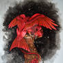 Red Night Gryphon