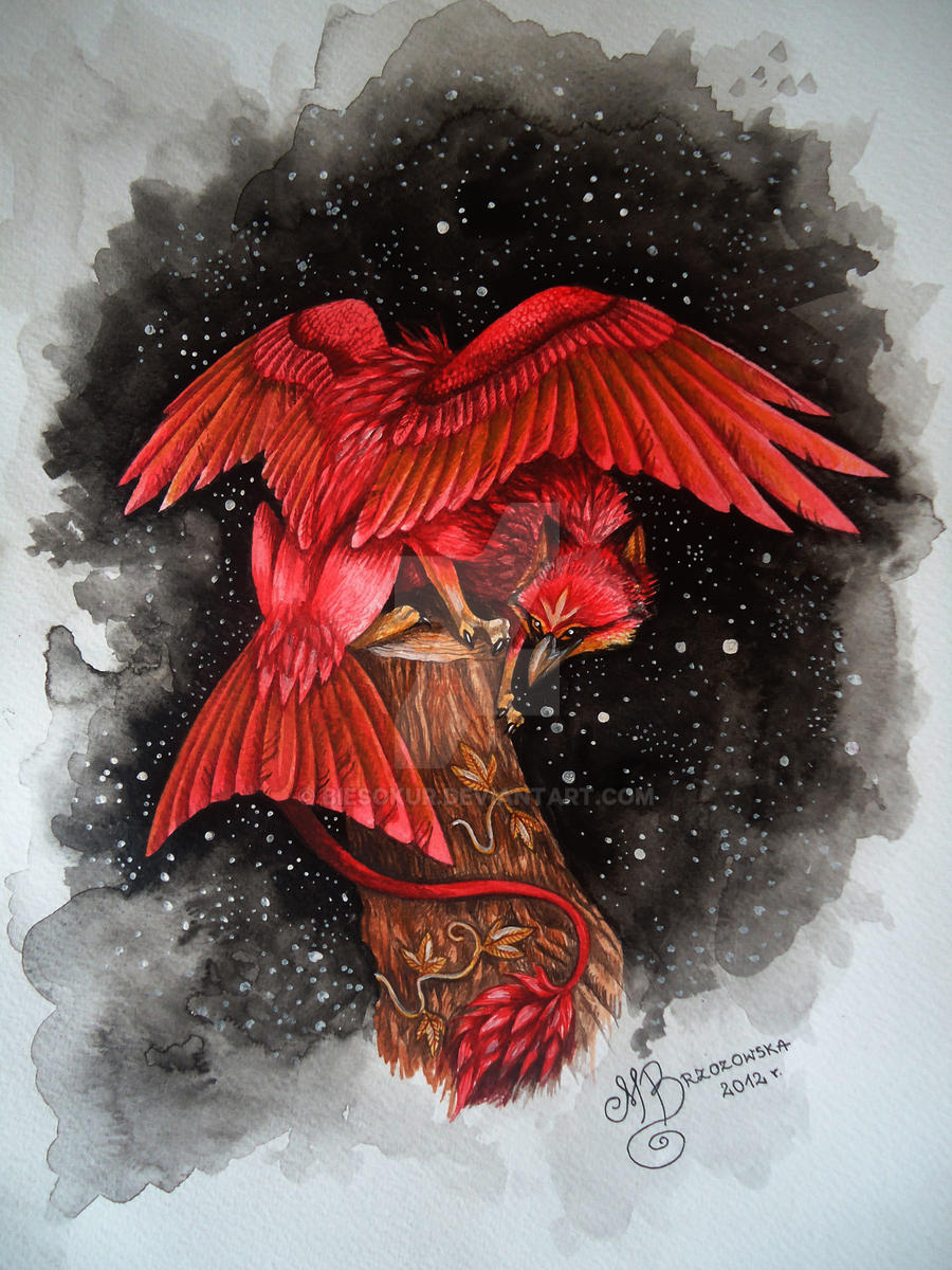 Red Night Gryphon