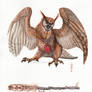 Hyssop the owl