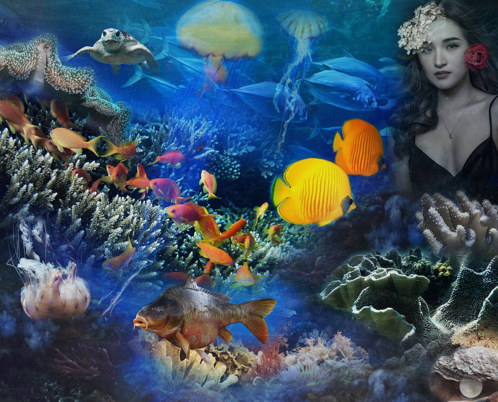Diep In De Zee by Irtimidd on DeviantArt