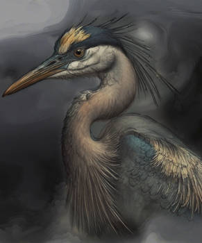Heron