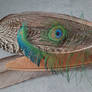 peacock feathers