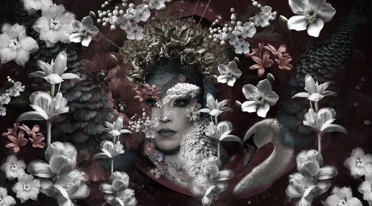 sertie de plumes et de fleurs