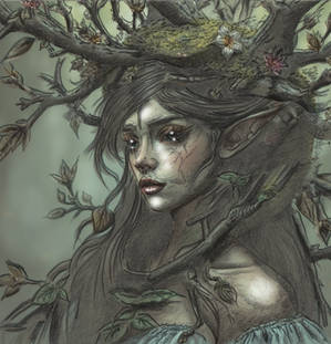 Forest Fairy
