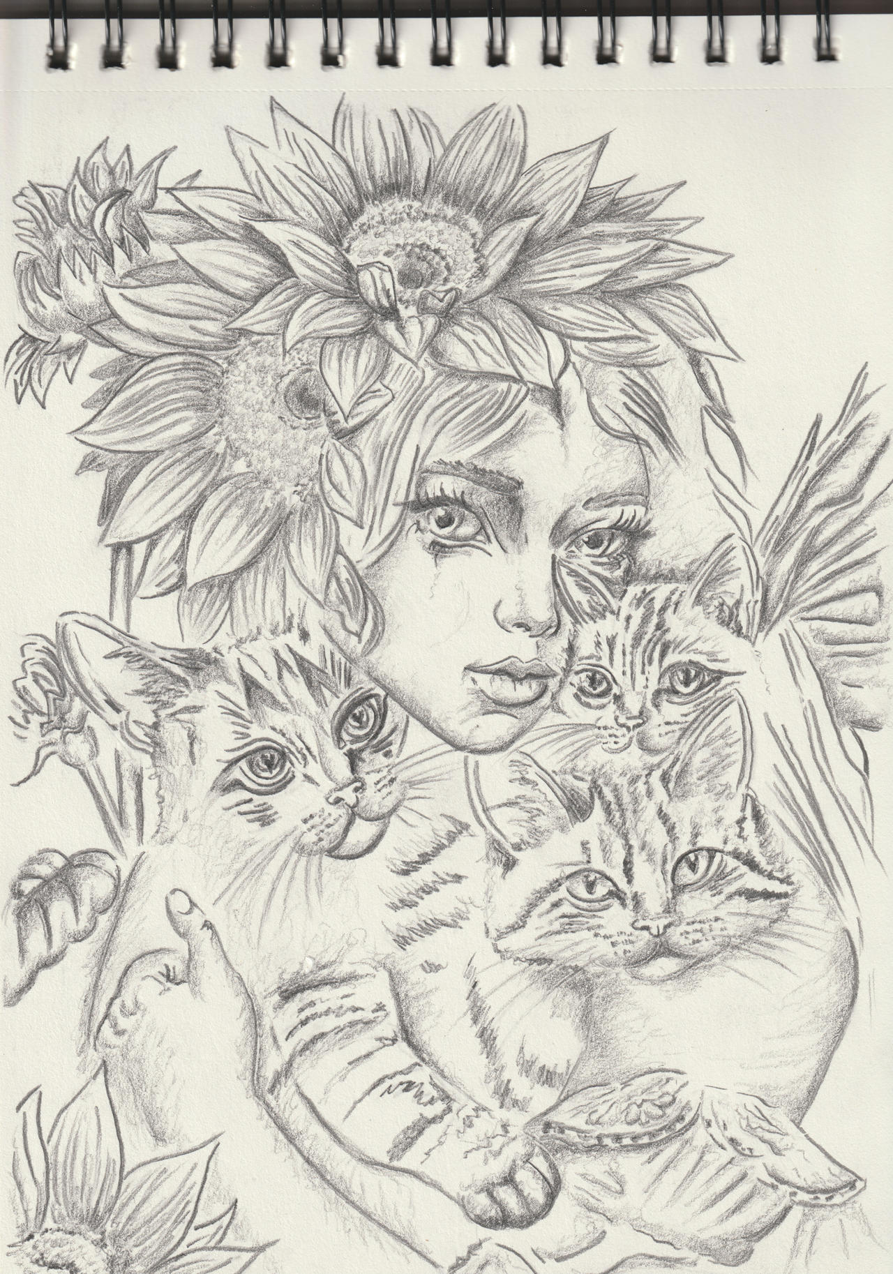 la fee et les chats au tournesols
