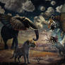 Les Animaux Fantastique