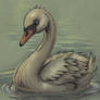Cygne