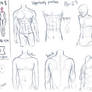 Male upper body practice sheet