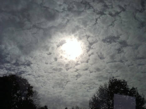 Edible Clouds?