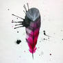 Feather II