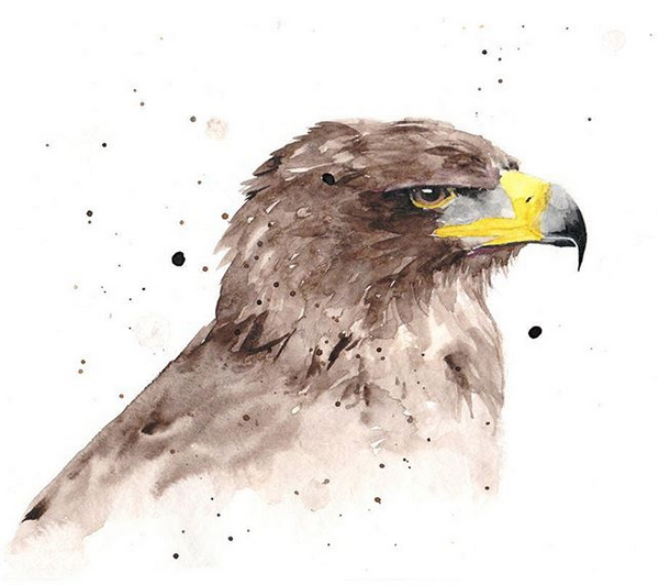 eagle watercolor