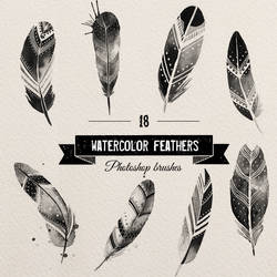 ps brushes feathers watercolor by excentric