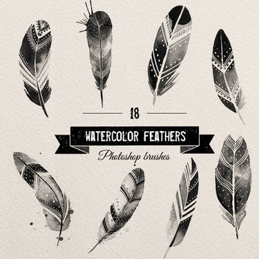 Black Feather PNG (17) by agusrockforlife on DeviantArt