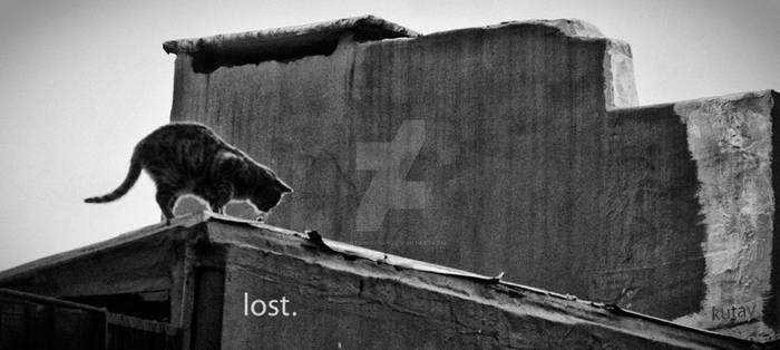 lost.