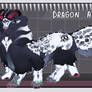 FLUFFY DRAGON ADOPT (closed)