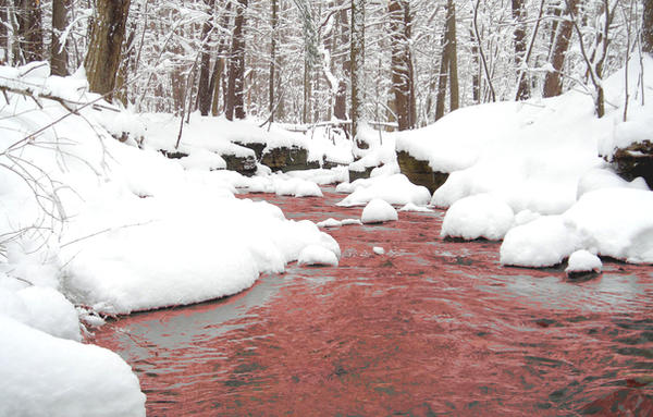 Red Stream Color red stream by vividimagery on DeviantArt