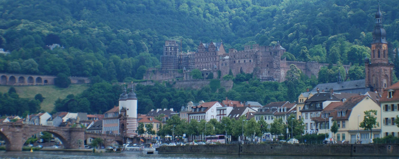 Heidelberg Castle Long view