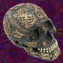 Tim Leary's Skull