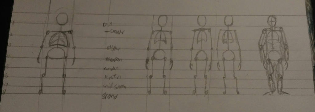 Human body study. by Mellenium-Hawk on DeviantArt