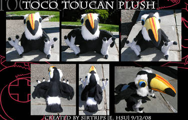 Plush: Toco Toucan Photoset2