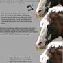 Horse Eye Tutorial