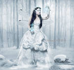 Magical essence the winter by DiosaEMR