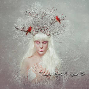Soul Of Winter by DiosaEMR Soul Of Winter by DiosaEMR