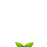 Mochi