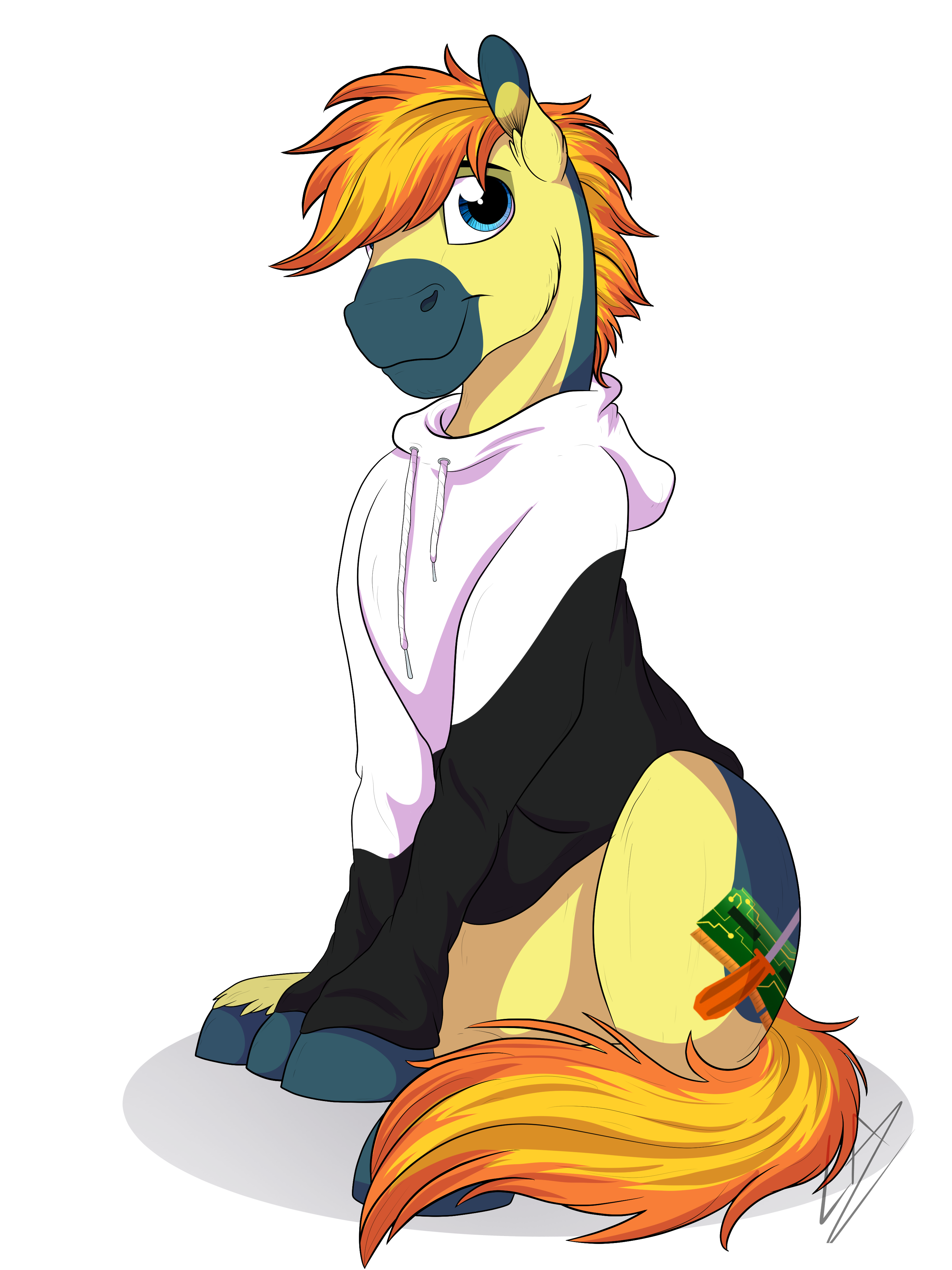 :COMM: Hoodie Stallion