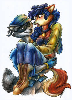 The Raccoon and the Fox