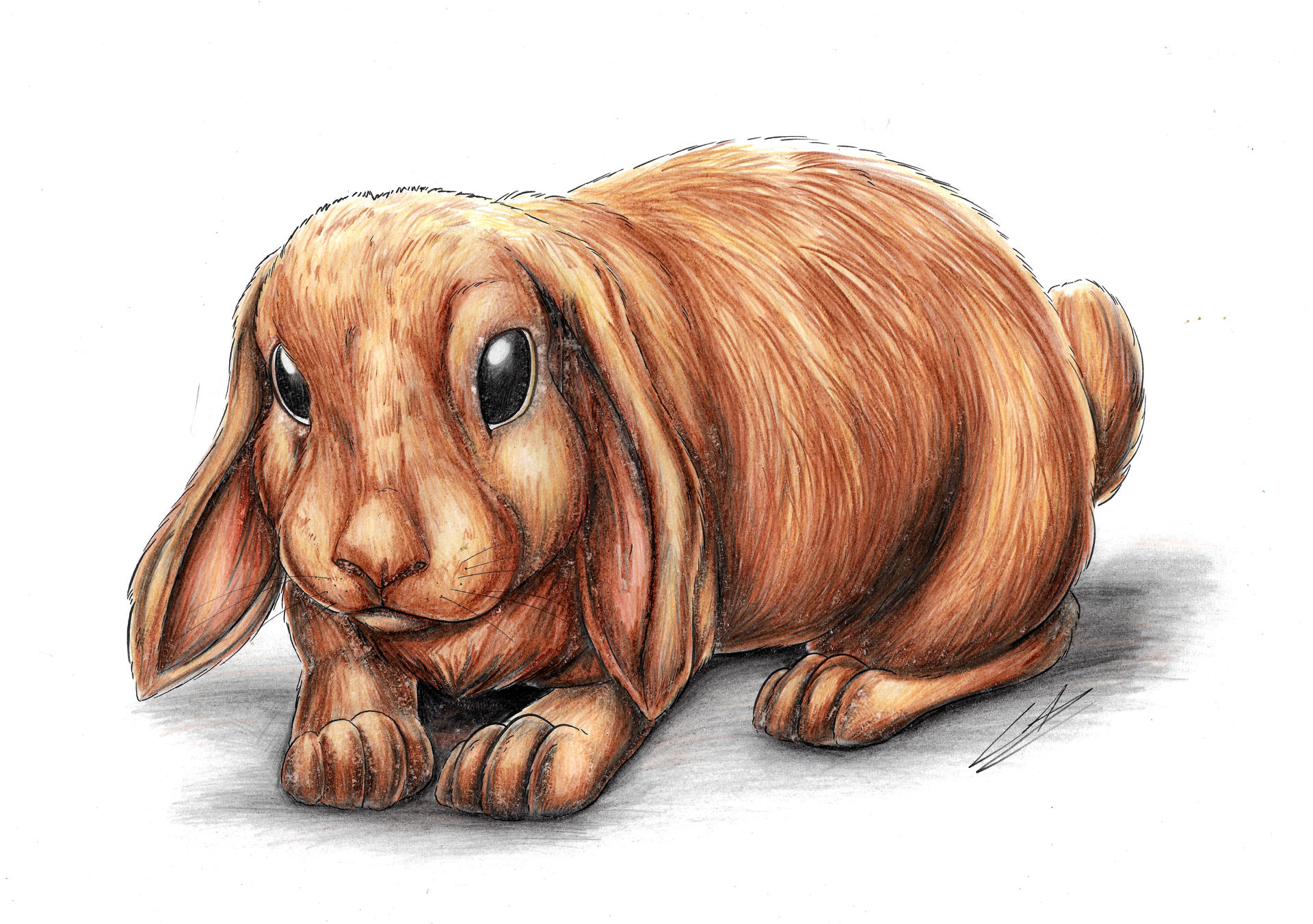 Deviantart Mini Rabbit :COMM: Little Bunny by LupiArts on DeviantArt