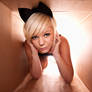 Cat's Meow