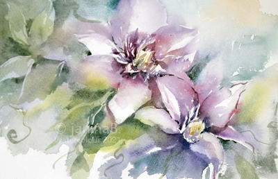 Clematis I 2021 (O1) 20x30