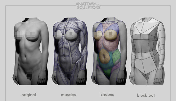 Female body deconstructed