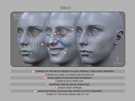 Anatomy of Smile