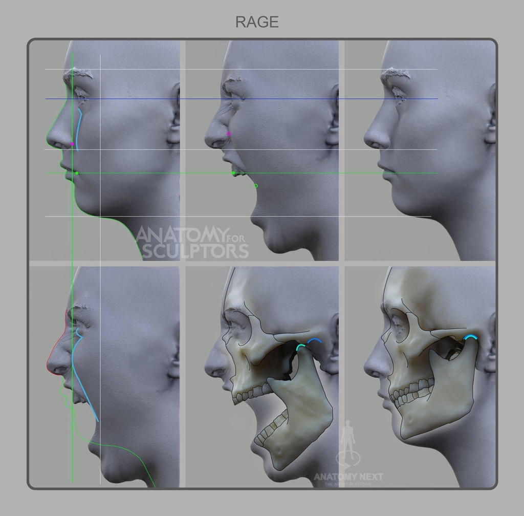Low Rage Human Rage by anatomy4sculptors on DeviantArt