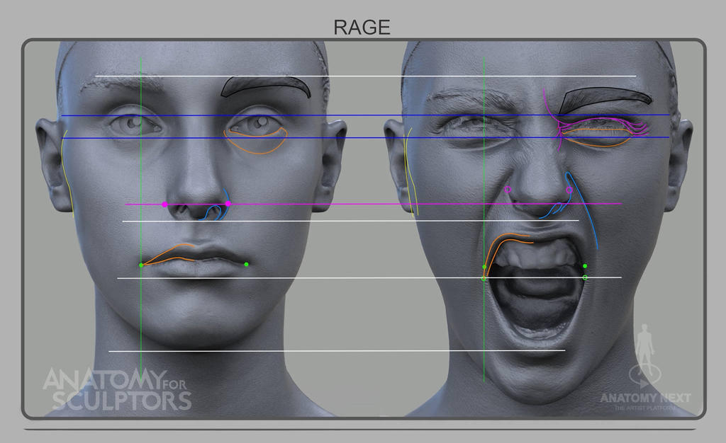 Low Rage Human Rage by anatomy4sculptors on DeviantArt