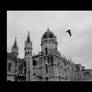 Seagull and Church