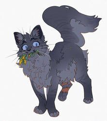 Cinderpelt