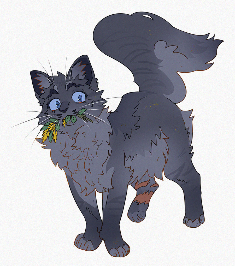 Cinderpelt By Murkbone On DeviantArt cinderpelt-by-murkbone-on-deviantart
