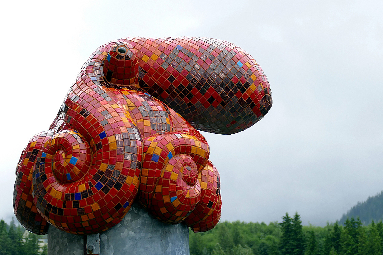 Ketchikan Octopus