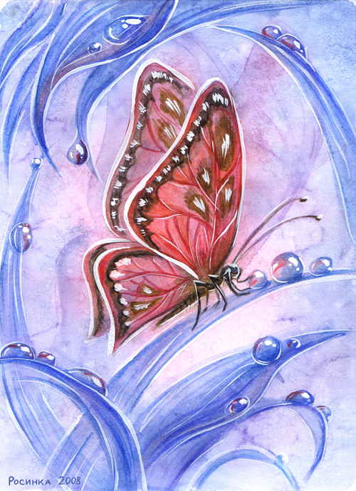 butterfly on blue grass