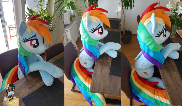 Lifesize Rainbow Dash  50 inches / 130cm long!