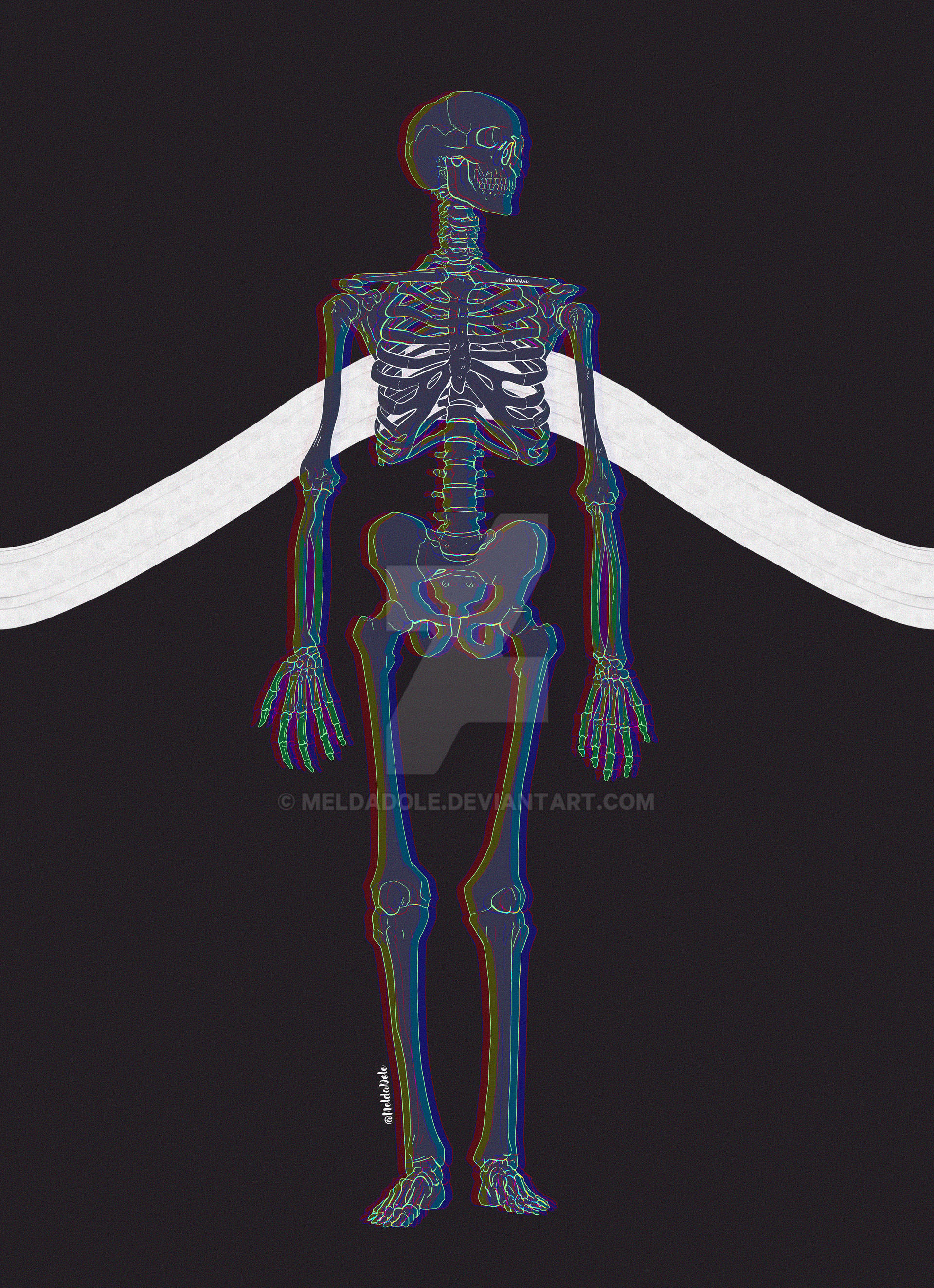 Skeleton Colors Chromatic Skeleton by MeldaDole on DeviantArt