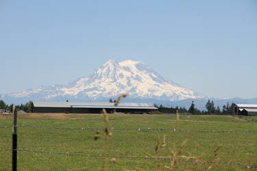 UntitledMt. Rainer