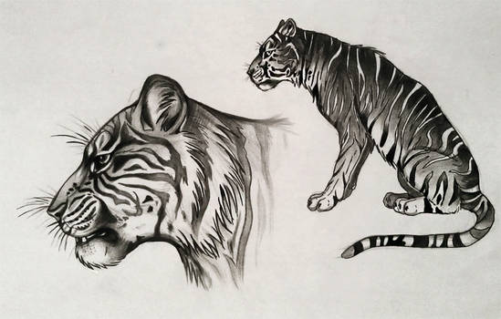 Tiger design